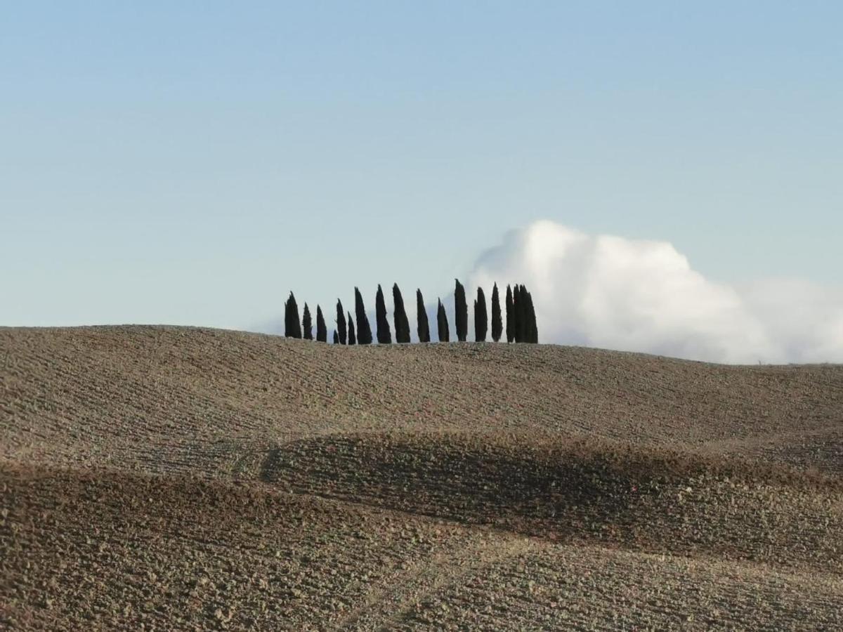 Goccia In Valdorcia Smart Home San Quirico dʼOrcia المظهر الخارجي الصورة